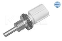 Temperatuursensor 30148210002