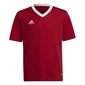 adidas Entrada 22 Voetbalshirt Kids Rood Wit