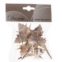 Decoratie schelpen Thorn 6 cm