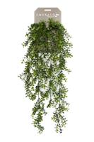 Hangplant op steker 3 - Driesprong collection