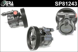 Stuurpomp SP81243