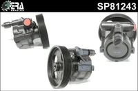 Stuurpomp SP81243