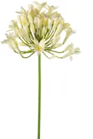Emerald kunsttak agapanthus 75cm creme