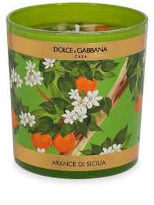 Dolce & Gabbana bougie parfumée à fleurs (250g) - Vert