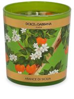 Dolce & Gabbana bougie parfumée à fleurs (250g) - Vert - thumbnail