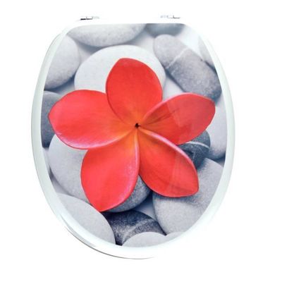 Frandis Wc-bril Frandis Wc-bril