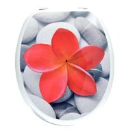 Frandis Wc-bril - thumbnail