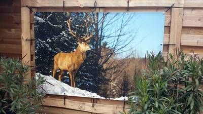 Buitenposter 140x230 cm Buitenposter 140x230 cm