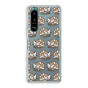 Slapende poes: Sony Xperia 5 III Transparant Hoesje