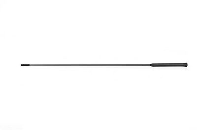 Antenne BSG30922073