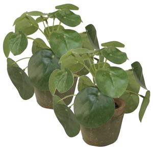 Kunstplant pilea/pannekoekplant - 2x - mini - groen - in pot - 13 cm