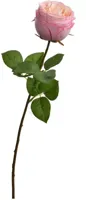 Pure Royal kunsttak roos 56cm roze