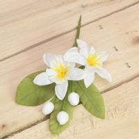 Bonbon doosjes - Chocolade doosje - Citroenbloesem dubbel - 12 stuks