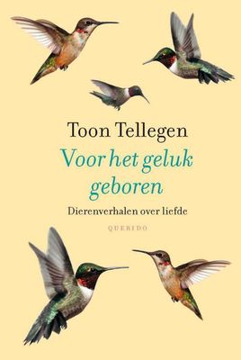 Voor het geluk geboren - Toon Tellegen - ebook