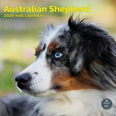 Australian Shepherd Kalender 2026