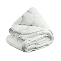 Budget-Bed.nl - Eazzzy Dekbed - Mintgroen - Mintgroen / 240x220