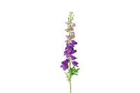 Decostar zijdebloem Delphinium Pacific XL 103 cm paars
