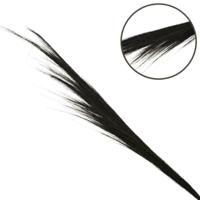 PTMD bundel gedroogd gras zwart 130 cm set van 3 | 24 stuks