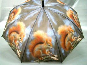 Paraplu Eekhoorn klein