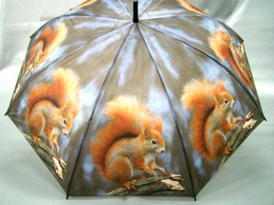 Paraplu Eekhoorn klein