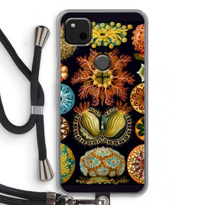 Haeckel Ascidiae: Pixel 4a Transparant Hoesje met koord
