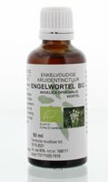 Natura Sanat Angelica officinalis/engelwortel tinctuur bio (50 ml) - thumbnail