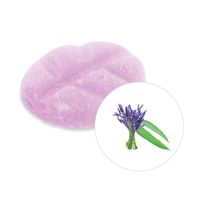 Scentchips® Eucalyptus & Lavendel geurchips - thumbnail