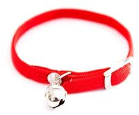 Martin halsband kat elastisch nylon rood (30X1 CM)