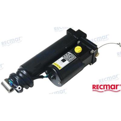 REPUESTOS MOTORES PAF60-06000000A - HYDRAULIC TILT ASSY
