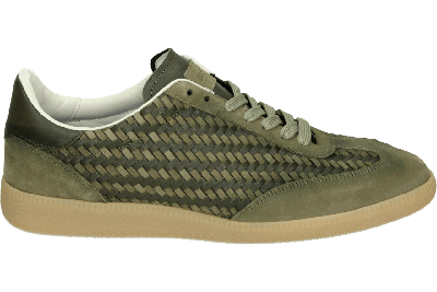 Giorgio 82106 - alle