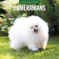 Pomeranian Kalender 2026