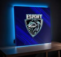 Uw e-sport videogame canvas Uw e-sport videogame canvas