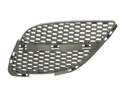 Radiateurgrille 5513001632913P