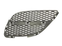 Radiateurgrille 5513001632913P