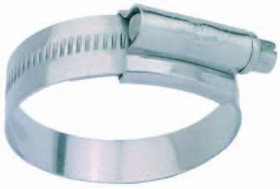Aquaforte RVS Wormschroef Slangklem 35-50mm - Veelzijdige Vijveraccessoire