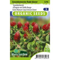 Green Manure Crop Red Clover - thumbnail