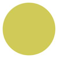 Creativ Company Textile color dekkende textielverf - kiwi, 250ml