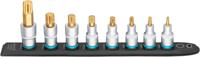 HAZET SmartRail · Flexibele kunststof opsteekstrip 990-SR/8 · 1/2 inch (12,5 mm) vierkant hol · Binnenveeltandprofiel XZN · 8-delig · M5 · M6 · M8 ·