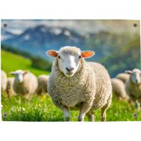 Tuinposter Voorjaar 1 - Pillow Buddies