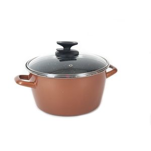 Rvs rose kookpan/pan met glazen deksel 20 cm 7 liter