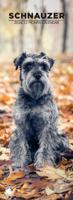 Schnauzer Slimline Kalender 2026