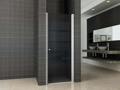 Xellanz nisdeur met profiel 800x2000 8mm NANO rookglas