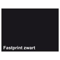 Quantore Kopieerpapier fastprint a4 160gr zwart 50vel