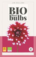 Bio Dahlia Duet Bloembol JUB 1 bol - Jub