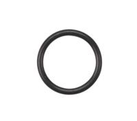 Sram Elvedes o-ring banjo 2019110 (20x)