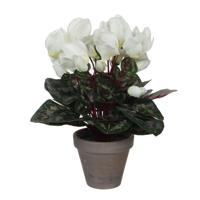 Mica Decorations Kunstplant - cyclaam - wit - in pot - 30 cm