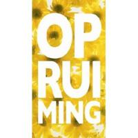 Raambiljet thema OPRUIMING 50x94cm zonne