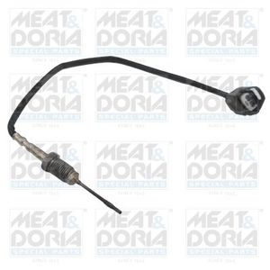 Sensor, uitlaatgastemperatuur 12301