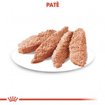 Royal Canin Coat Care natvoer hond (paté) 1 doos (12 x 85 g)