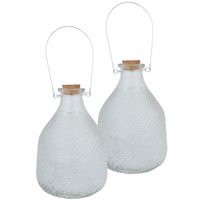 Set van 2x stuks wespenvangers/wespenvallen transparant glas 21 cm - thumbnail